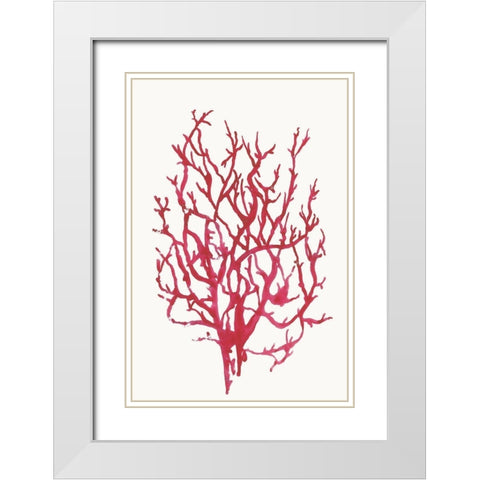 Red Reef Coral I  White Modern Wood Framed Art Print with Double Matting by Wilson, Aimee