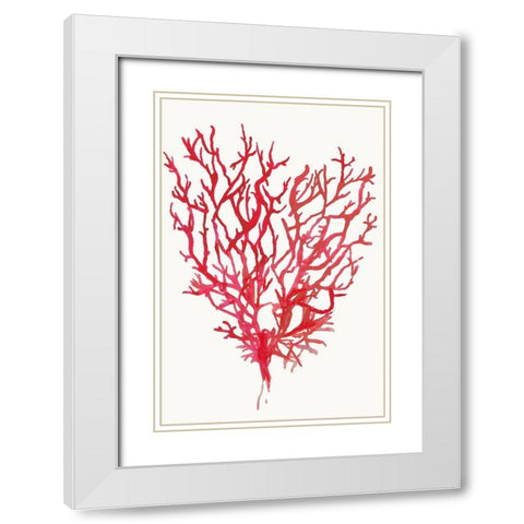 Red Reef Coral II  White Modern Wood Framed Art Print with Double Matting by Wilson, Aimee