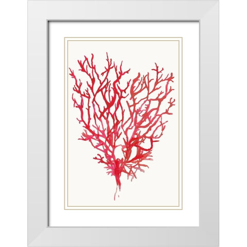 Red Reef Coral II  White Modern Wood Framed Art Print with Double Matting by Wilson, Aimee