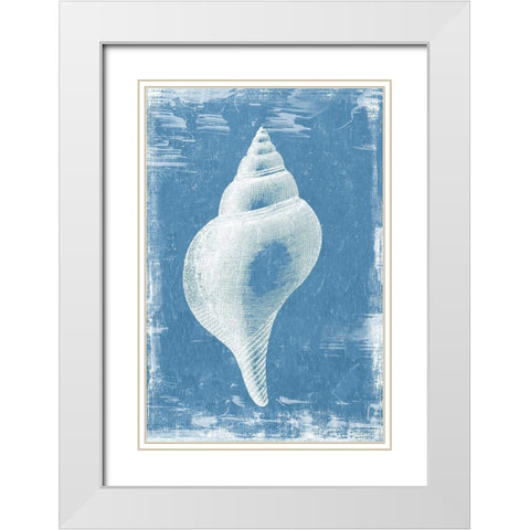 Gifts from the Sea II White Modern Wood Framed Art Print with Double Matting by Wilson, Aimee