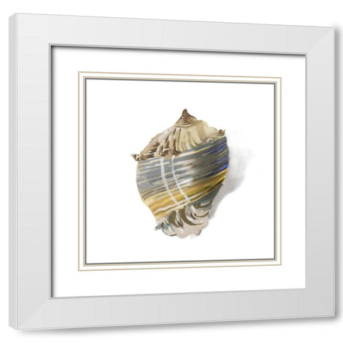 Shell Ashore  White Modern Wood Framed Art Print with Double Matting by Wilson, Aimee