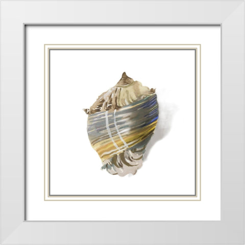 Shell Ashore  White Modern Wood Framed Art Print with Double Matting by Wilson, Aimee