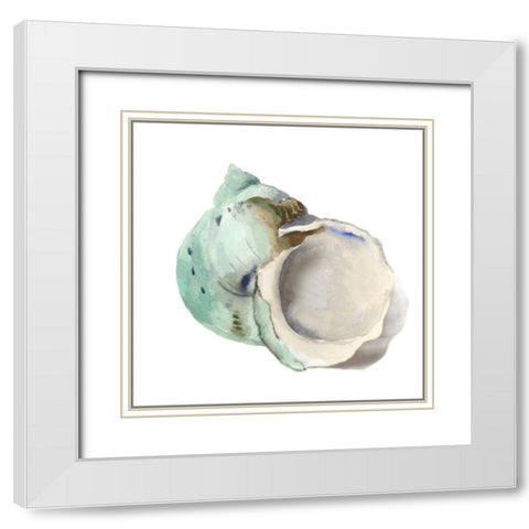 Pearl Shell White Modern Wood Framed Art Print with Double Matting by Wilson, Aimee