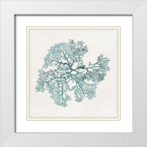 Teal Coral II White Modern Wood Framed Art Print with Double Matting by Wilson, Aimee