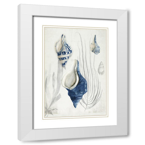 Antique Shells I  White Modern Wood Framed Art Print with Double Matting by Wilson, Aimee