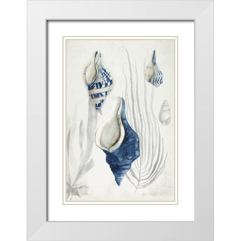 Antique Shells I  White Modern Wood Framed Art Print with Double Matting by Wilson, Aimee