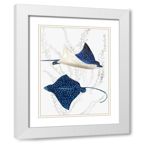Blue Stingray II White Modern Wood Framed Art Print with Double Matting by Wilson, Aimee
