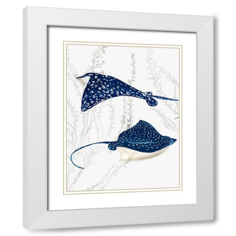 Blue Stingray III White Modern Wood Framed Art Print with Double Matting by Wilson, Aimee