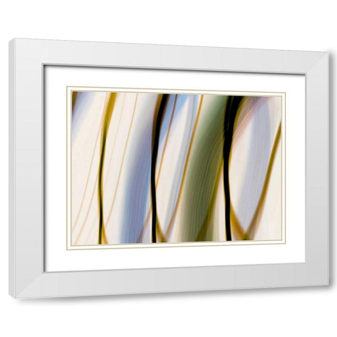 Silk Waves I White Modern Wood Framed Art Print with Double Matting by Cooke, William