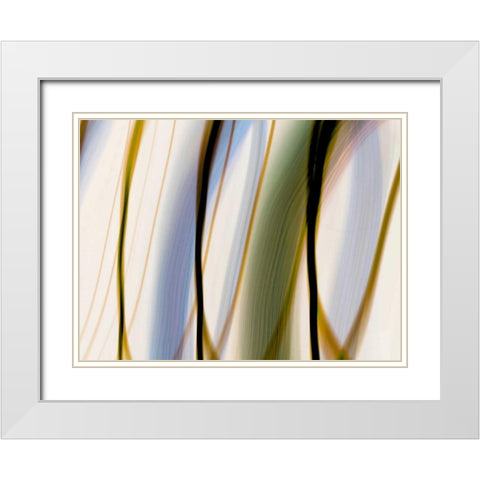 Silk Waves I White Modern Wood Framed Art Print with Double Matting by Cooke, William