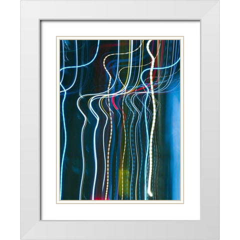 Stems I White Modern Wood Framed Art Print with Double Matting by Cooke, William