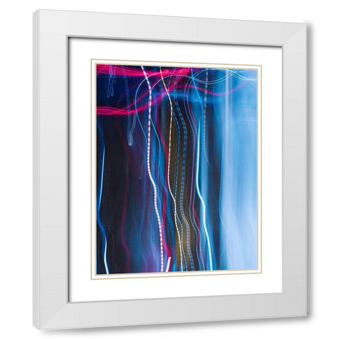 Stems II White Modern Wood Framed Art Print with Double Matting by Cooke, William