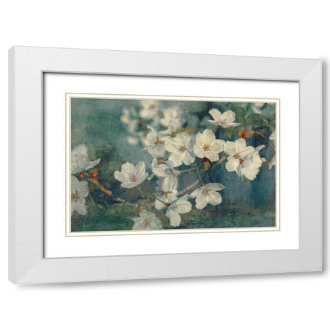 Sweet Spring I White Modern Wood Framed Art Print with Double Matting by Cooke, William