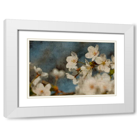 Early Dew White Modern Wood Framed Art Print with Double Matting by Cooke, William