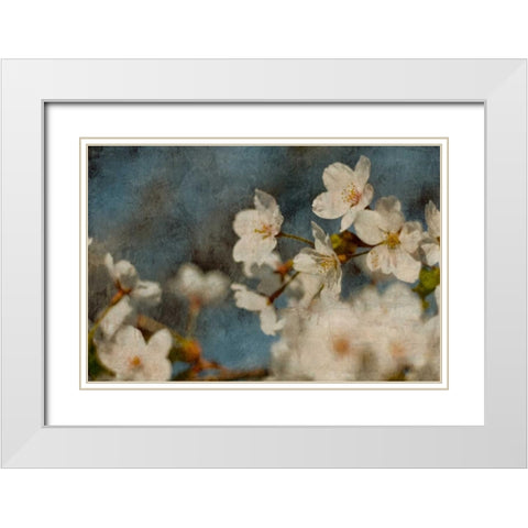 Early Dew White Modern Wood Framed Art Print with Double Matting by Cooke, William