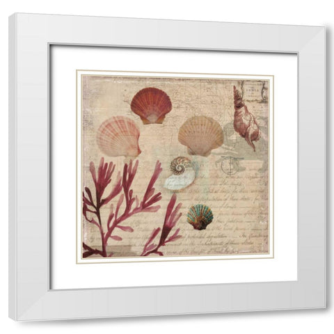 Coral II White Modern Wood Framed Art Print with Double Matting by Wilson, Aimee