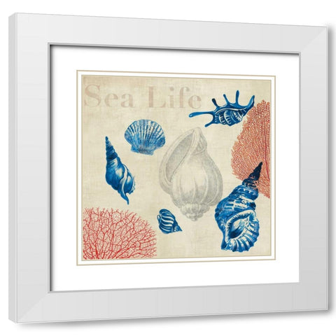Sea Life Study White Modern Wood Framed Art Print with Double Matting by Wilson, Aimee