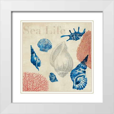 Sea Life Study White Modern Wood Framed Art Print with Double Matting by Wilson, Aimee