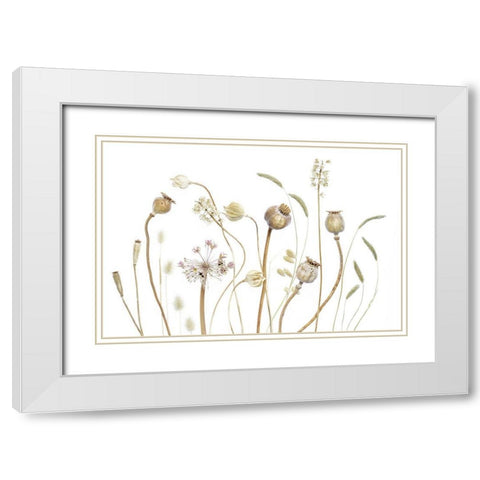 PODS White Modern Wood Framed Art Print with Double Matting by Disher