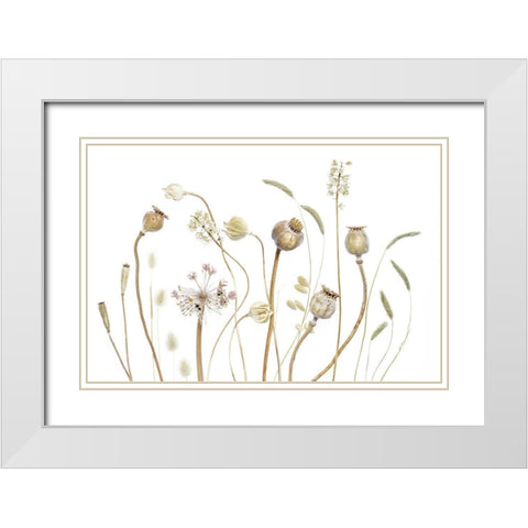 PODS White Modern Wood Framed Art Print with Double Matting by Disher