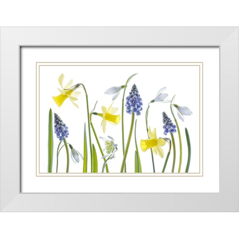 Spring White Modern Wood Framed Art Print with Double Matting by Disher