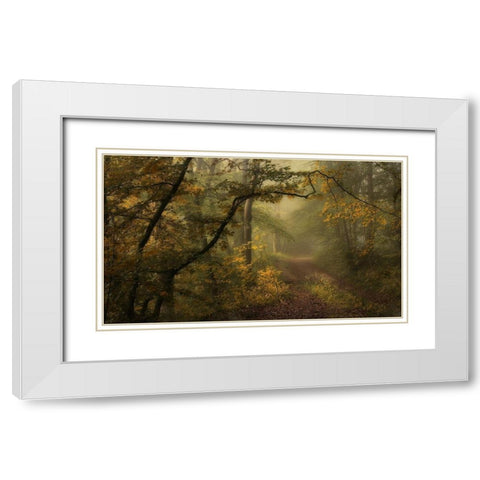 Maier - A Sorrow Beyond Dreams  White Modern Wood Framed Art Print with Double Matting by 1x