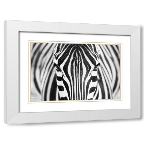 Alhumaid White Modern Wood Framed Art Print with Double Matting by 1x