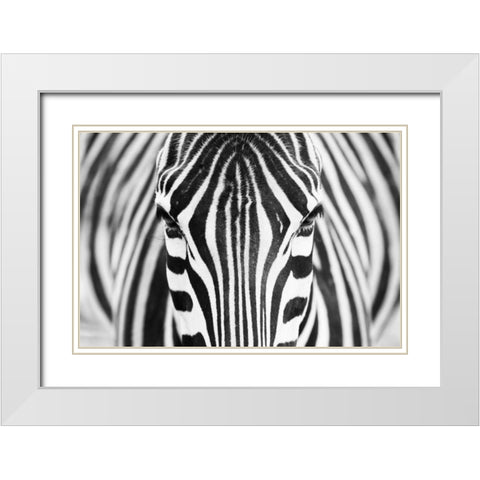 Alhumaid White Modern Wood Framed Art Print with Double Matting by 1x