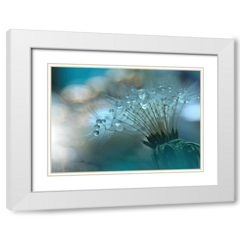 Nan White Modern Wood Framed Art Print with Double Matting by 1X