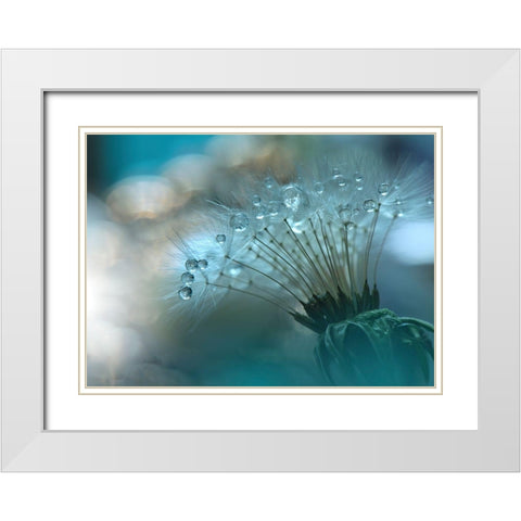 Nan White Modern Wood Framed Art Print with Double Matting by 1X