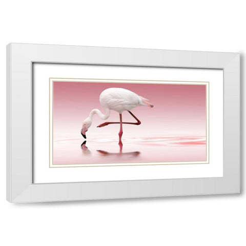 Reindl - Flamingo White Modern Wood Framed Art Print with Double Matting by 1x