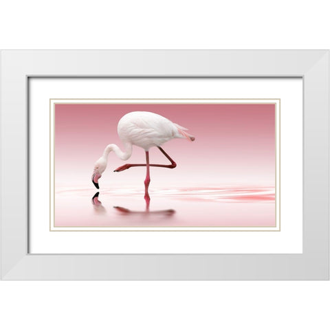 Reindl - Flamingo White Modern Wood Framed Art Print with Double Matting by 1x