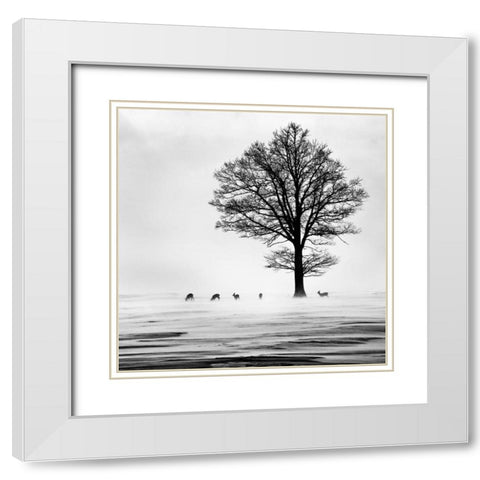 Roes White Modern Wood Framed Art Print with Double Matting by Dansiga