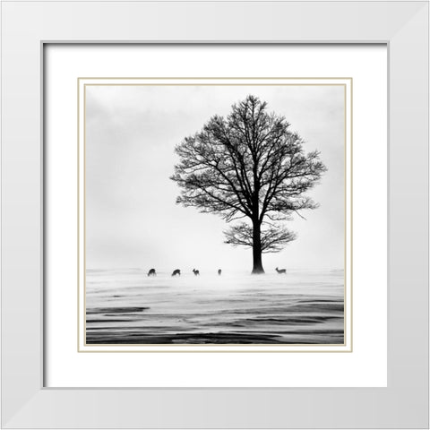 Roes White Modern Wood Framed Art Print with Double Matting by Dansiga