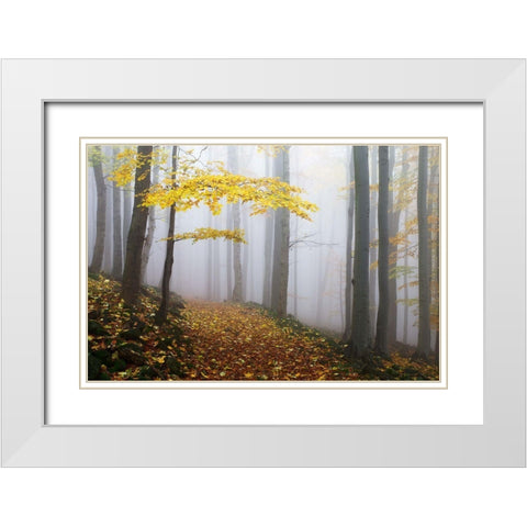 Untitled White Modern Wood Framed Art Print with Double Matting by 1x