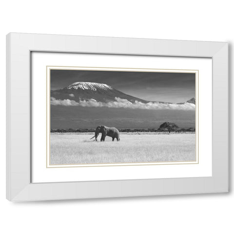 Lost Colors II White Modern Wood Framed Art Print with Double Matting by Canakci
