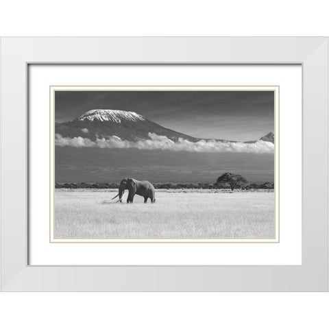 Lost Colors II White Modern Wood Framed Art Print with Double Matting by Canakci