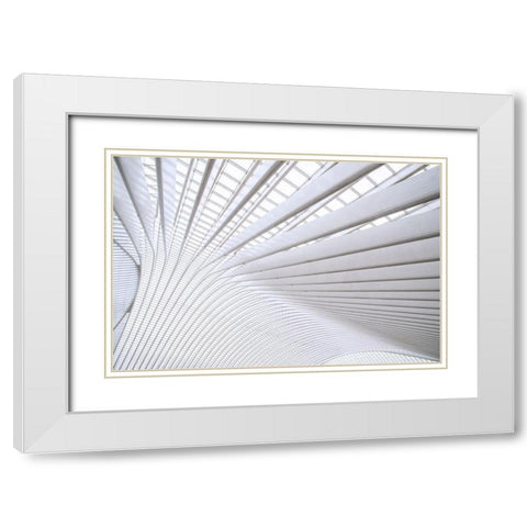 Wride - Curvature White Modern Wood Framed Art Print with Double Matting by 1X