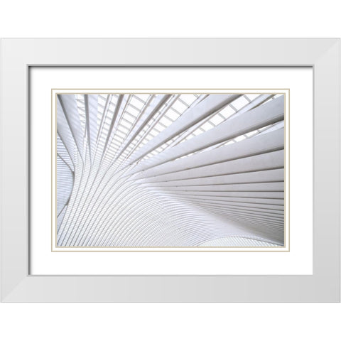 Wride - Curvature White Modern Wood Framed Art Print with Double Matting by 1X