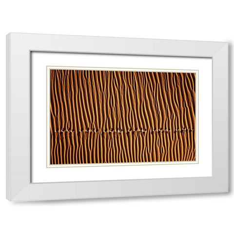 Momeni - Foot Print III White Modern Wood Framed Art Print with Double Matting by 1X