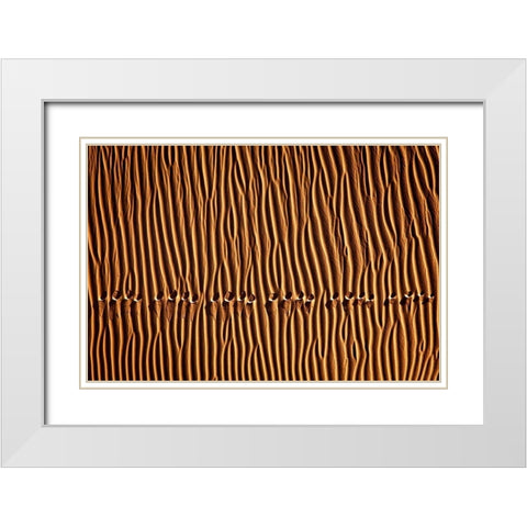 Momeni - Foot Print III White Modern Wood Framed Art Print with Double Matting by 1X