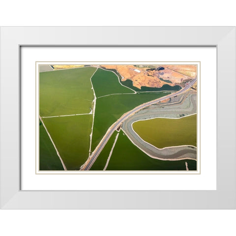 Darby - Boundaries White Modern Wood Framed Art Print with Double Matting by 1x