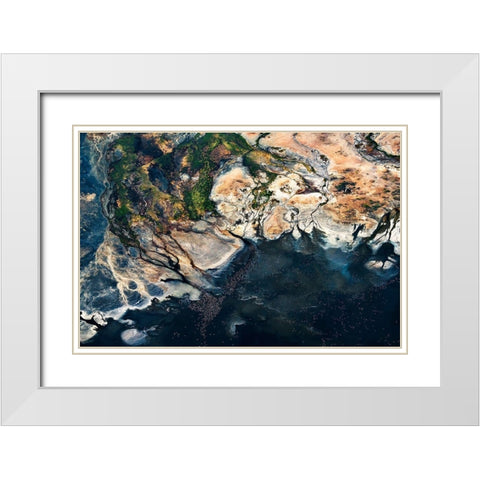 Fan - Splendid Africa White Modern Wood Framed Art Print with Double Matting by 1x