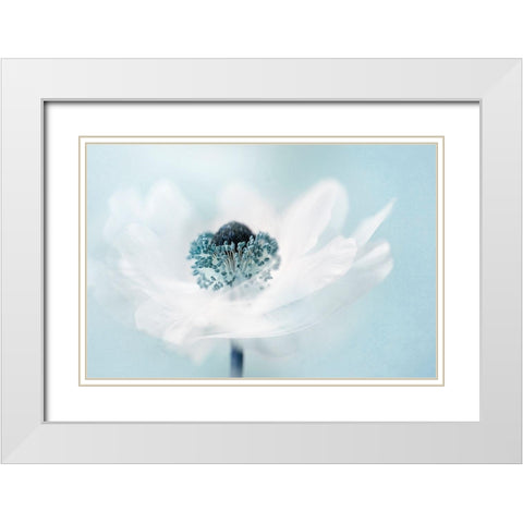 Candy Floss White Modern Wood Framed Art Print with Double Matting by Parker