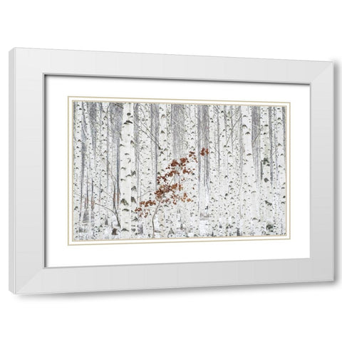 Hee Han - From White White Modern Wood Framed Art Print with Double Matting by 1x