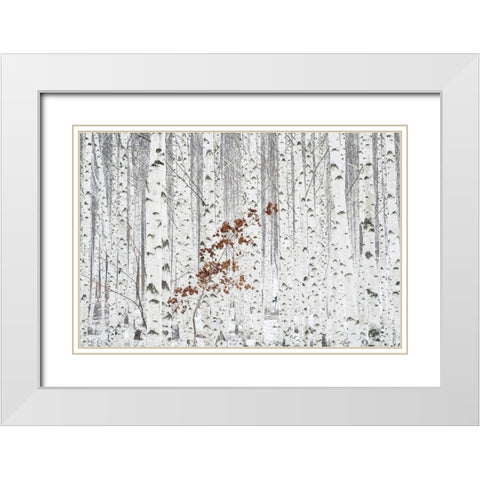 Hee Han - From White White Modern Wood Framed Art Print with Double Matting by 1x