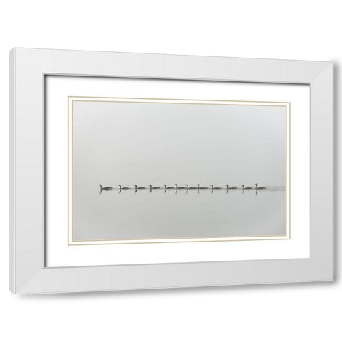 Follow me White Modern Wood Framed Art Print with Double Matting by Kalathas
