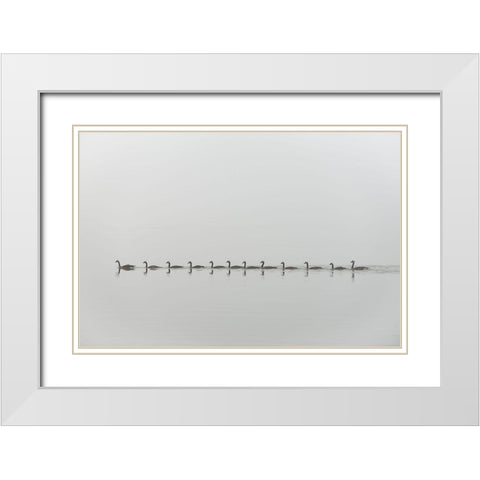 Follow me White Modern Wood Framed Art Print with Double Matting by Kalathas