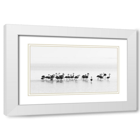 Gil Raga - Flamingos White Modern Wood Framed Art Print with Double Matting by 1x