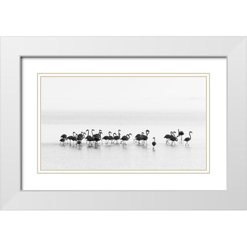 Gil Raga - Flamingos White Modern Wood Framed Art Print with Double Matting by 1x